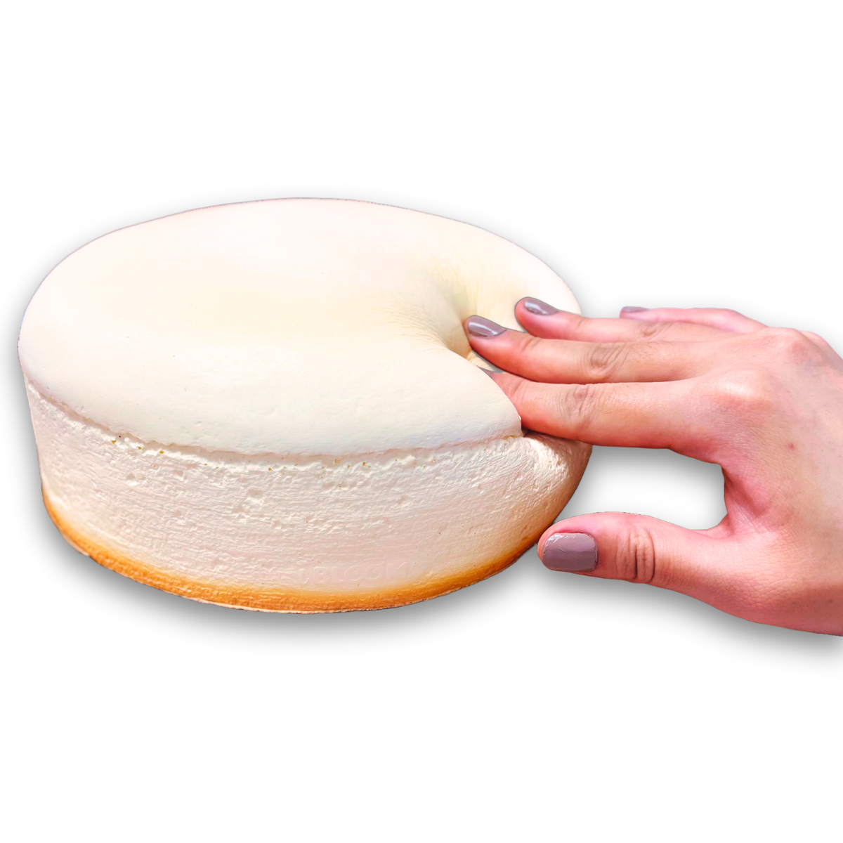 iBloom Squishy Cheesecake Kawaii Soft Scented Slow Rising Stress Relief