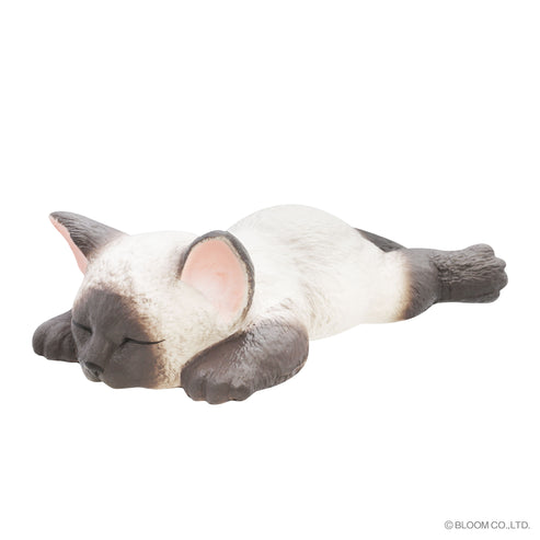 iBloom Squishy We are THE CAT Stretched Out Cat Kawaii Soft Scented Slow Rising Stress Relief