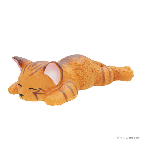 iBloom Squishy We are THE CAT Stretched Out Cat Kawaii Soft Scented Slow Rising Stress Relief