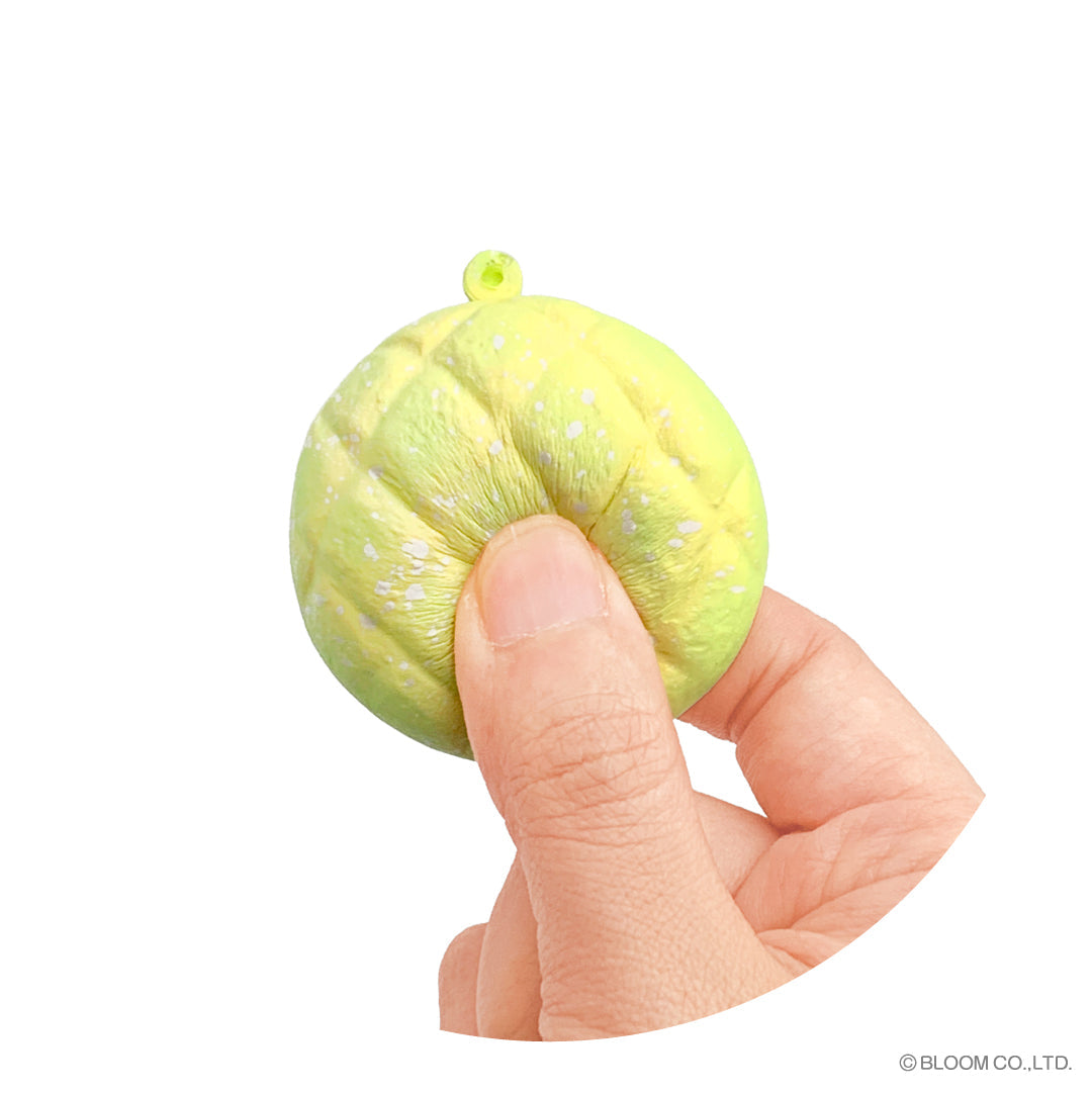 iBloom Squishy Bread Series Mini Blind Box Kawaii Soft Scented Slow Rising Stress Relief
