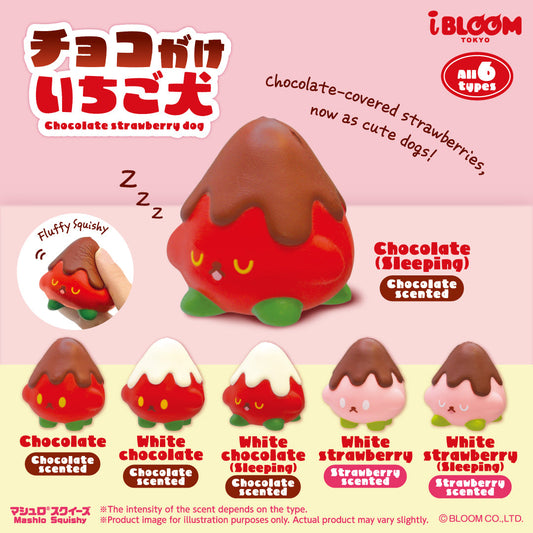 iBloom Squishy ★Capsule Toys★ Chocolate Strawberry Dog Kawaii Soft Scented Slow Rising Stress Relief