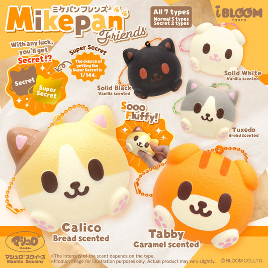 iBloom Squishy Mikepan Friends Blind Box Kawaii Soft Scented Slow Rising Stress Relief