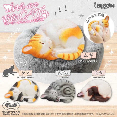 iBloom Squishy We Are The Cat Curled Up Cat Kawaii Soft Scented Slow Rising Stress Relief