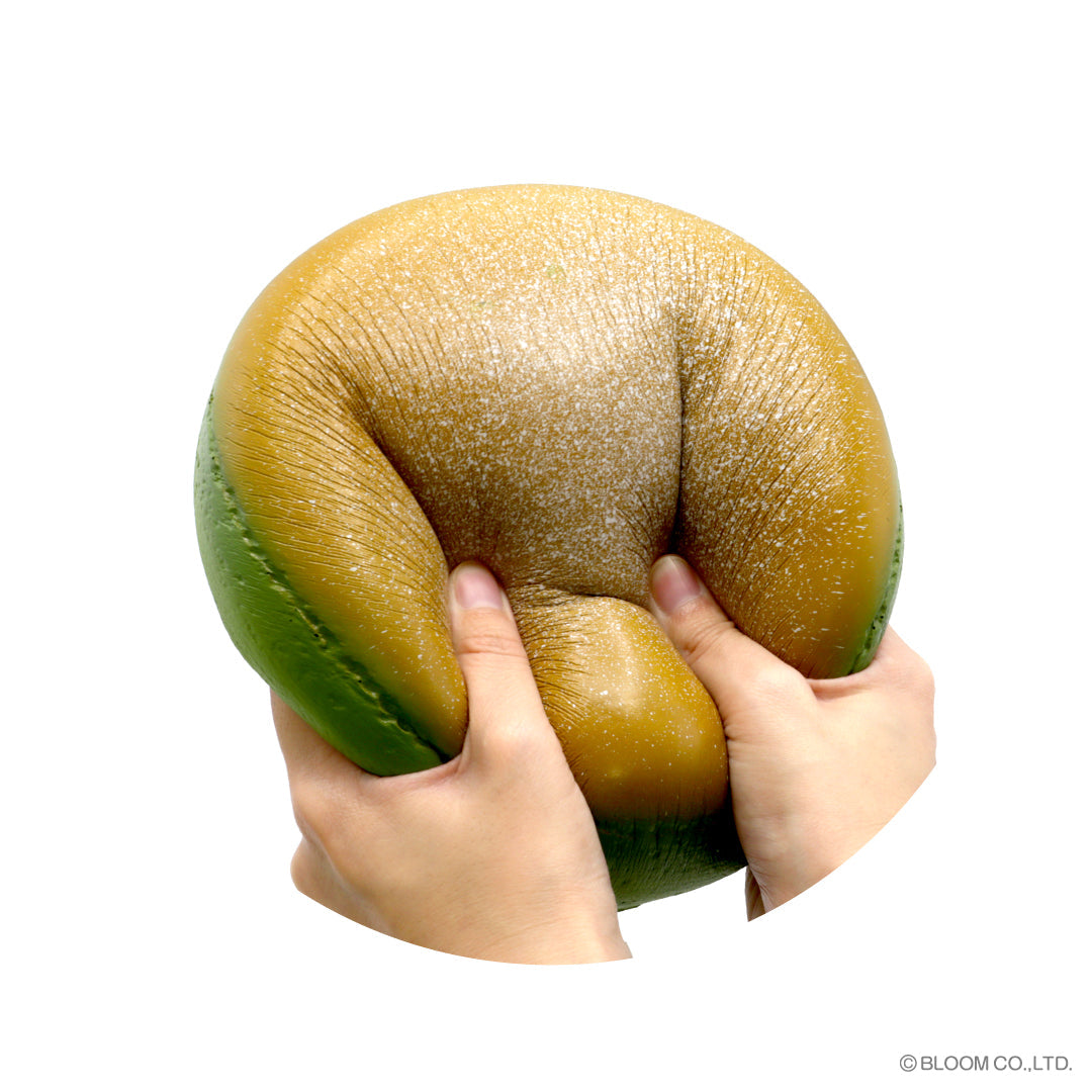 iBloom Squishy Cheesecake “Matcha” Kawaii Soft Scented Slow Rising Stress Relief
