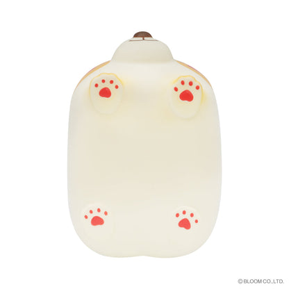 iBloom Squishy Wan Pancake Kawaii Soft Scented Slow Rising Stress Relief