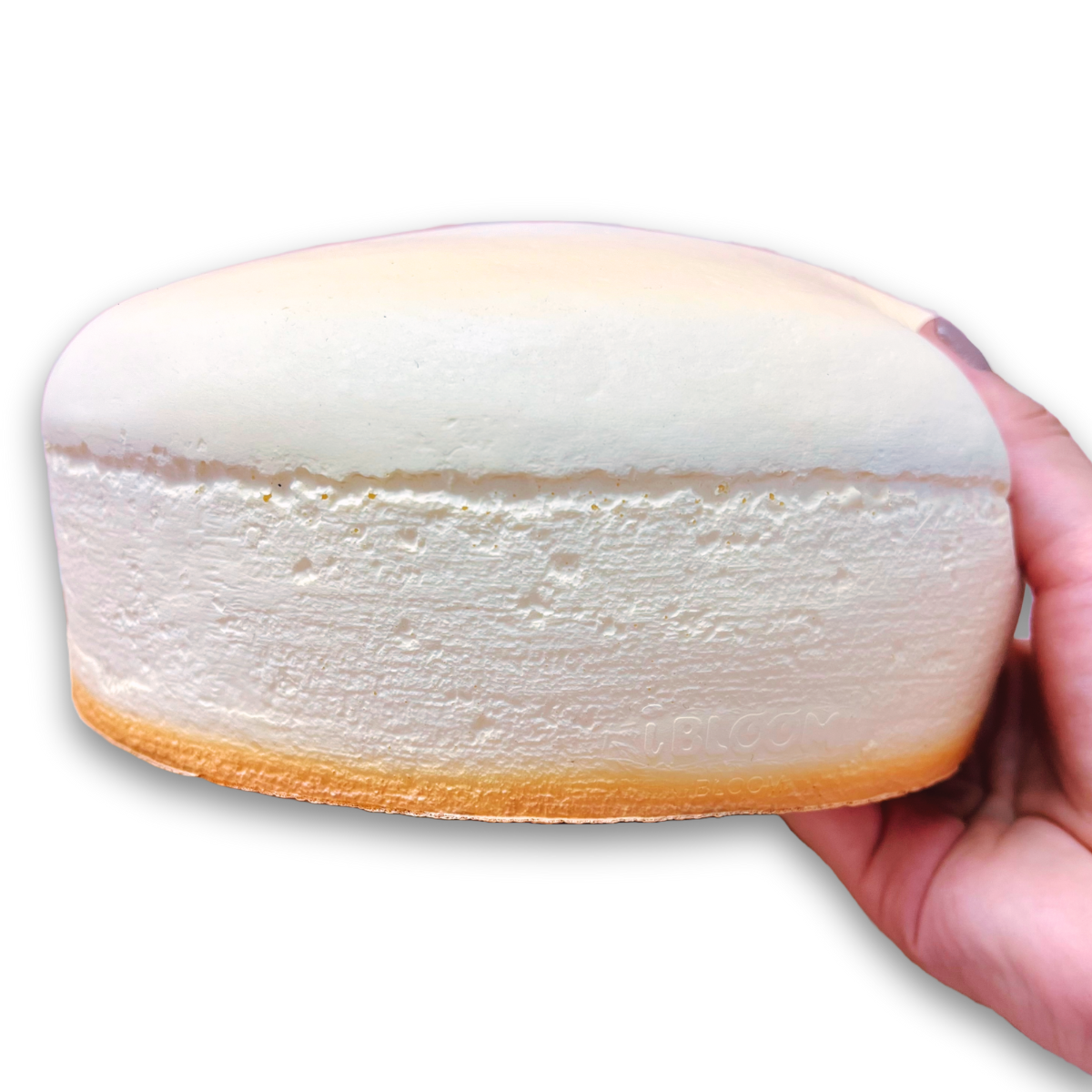 iBloom Squishy Cheesecake Kawaii Soft Scented Slow Rising Stress Relief