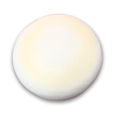 iBloom Squishy Cheesecake Kawaii Soft Scented Slow Rising Stress Relief