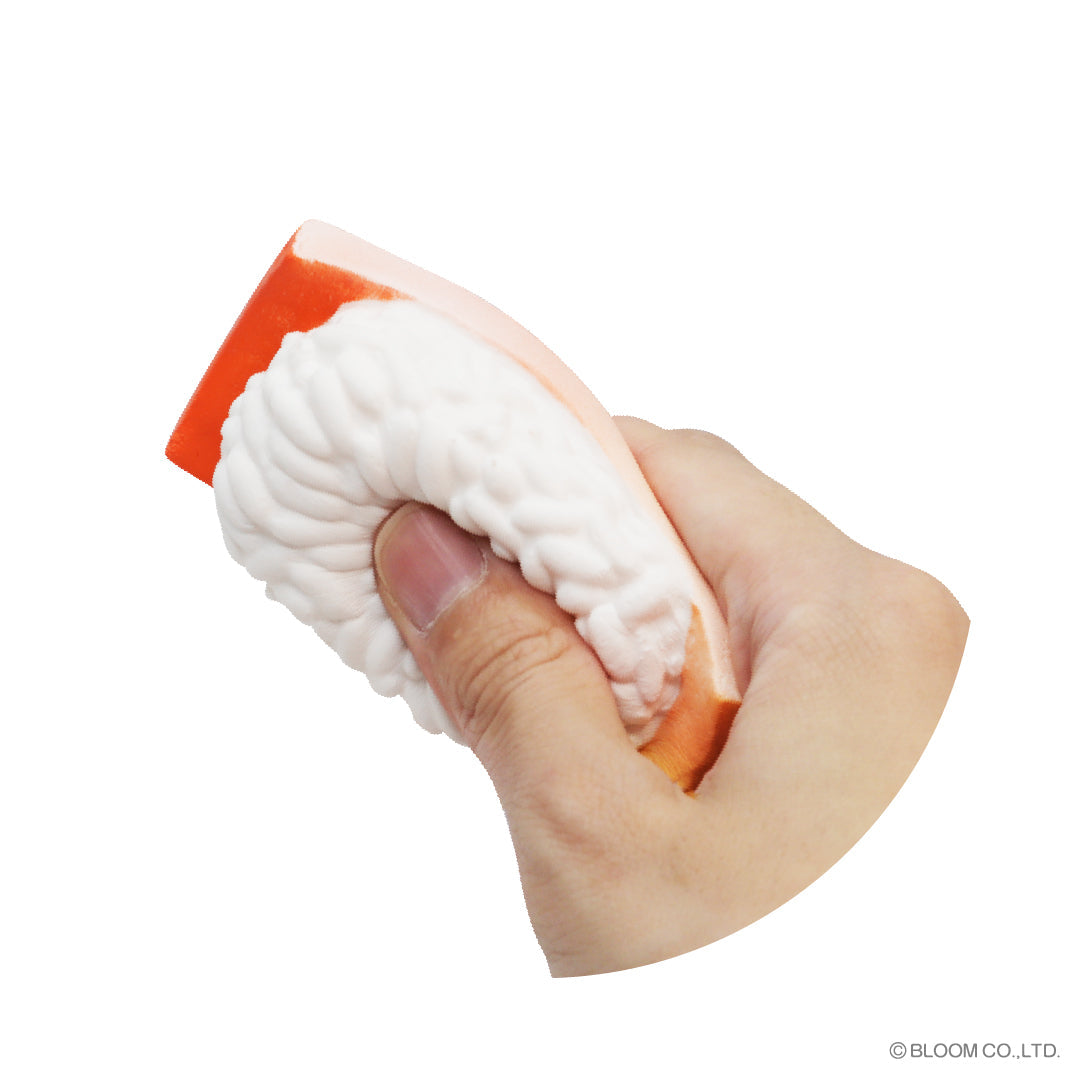 iBloom Squishy Premium Sushi Kawaii Soft Scented Slow Rising Stress Relief