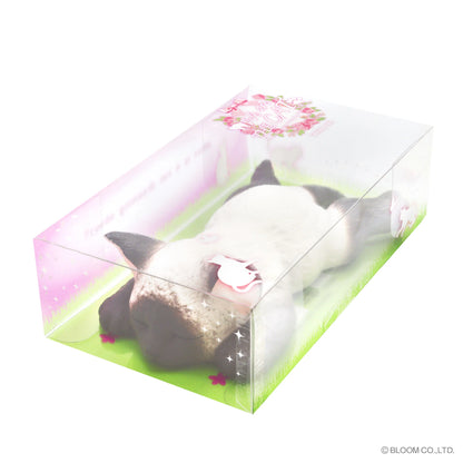 iBloom Squishy We are THE CAT Stretched Out Cat Kawaii Soft Scented Slow Rising Stress Relief