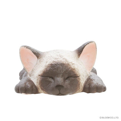 iBloom Squishy We are THE CAT Stretched Out Cat Kawaii Soft Scented Slow Rising Stress Relief