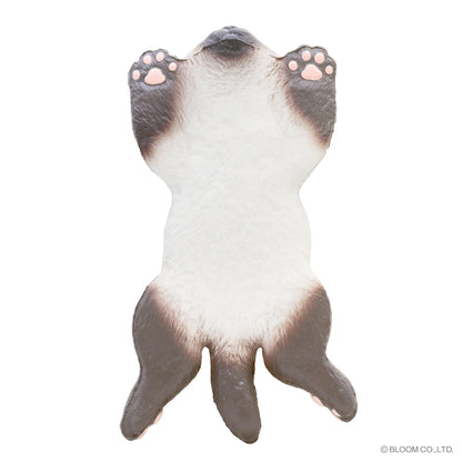 iBloom Squishy We are THE CAT Stretched Out Cat Kawaii Soft Scented Slow Rising Stress Relief