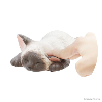 iBloom Squishy We are THE CAT Stretched Out Cat Kawaii Soft Scented Slow Rising Stress Relief