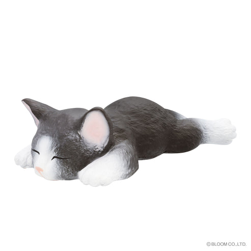 iBloom Squishy We are THE CAT Stretched Out Cat Kawaii Soft Scented Slow Rising Stress Relief