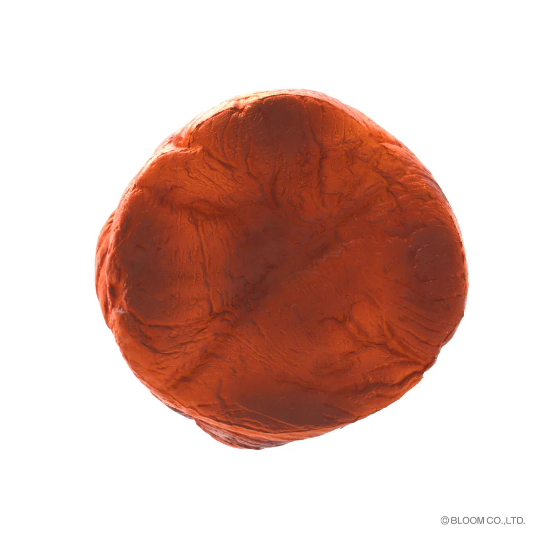 iBloom Squishy Danish Flowery Kawaii Soft Scented Slow Rising Stress Relief