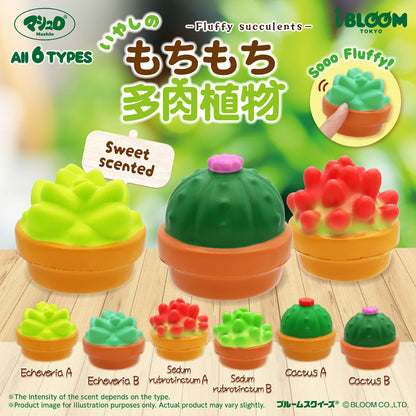 iBloom Squishy ★Capsule Toys★ Fluffy Succulents Kawaii Soft Scented Slow Rising Stress Relief