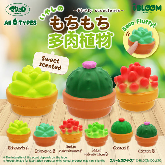 iBloom Squishy ★Capsule Toys★ Fluffy Succulents Kawaii Soft Scented Slow Rising Stress Relief